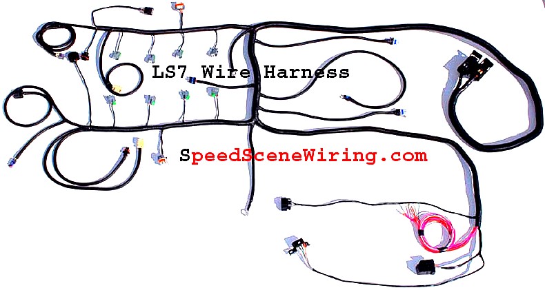 LS7 Wiring Harness E38 ECM - Click Image to Close